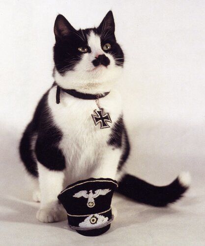 Adolf Kitler