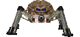 Arachnotron