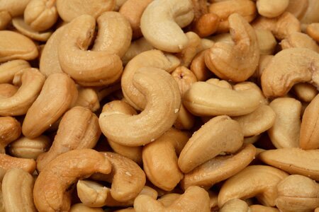 Cashew