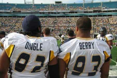 Dingle Berry