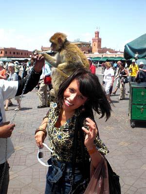 Monkey Harass