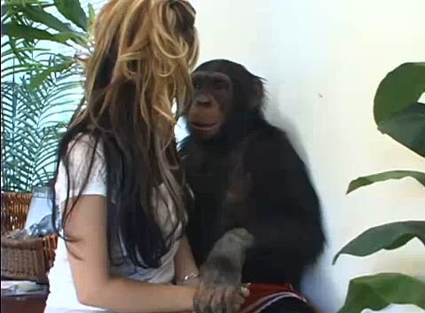 Monkey Can't resist