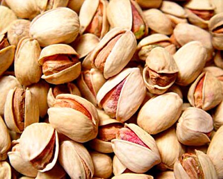 Pistachio nut