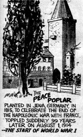 Ripley Peace Poplar caused WW1