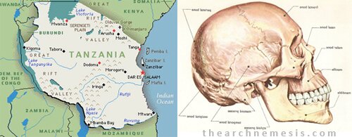 Tanzania skull