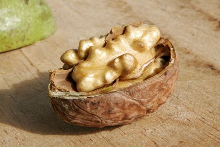 Walnut