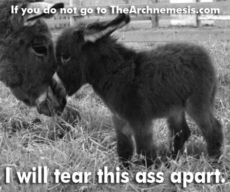 Cutest ass ever