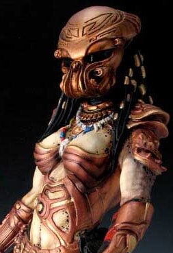 female predator chlamydia