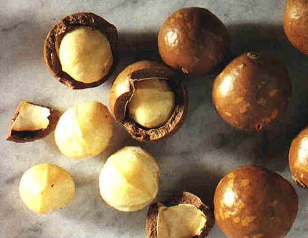 Macadamia Nuts