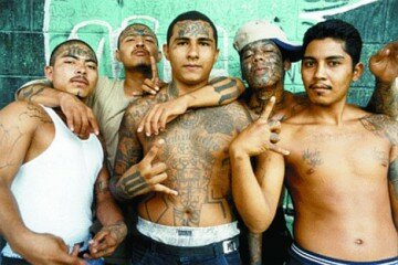 Mexican Gangsters