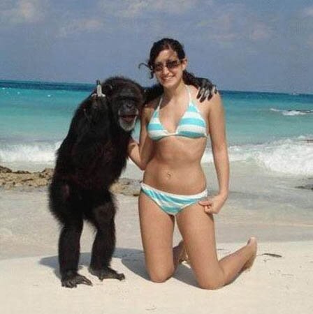 Monkey flip off
