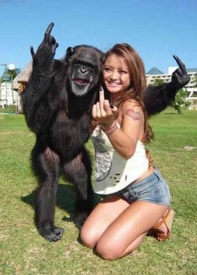 MOnkey Tila