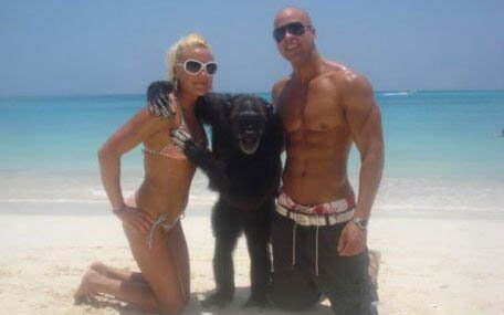 MOnkey boob grab