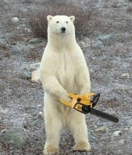 Polar Bear Chainsaw