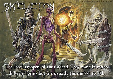 Skeleton