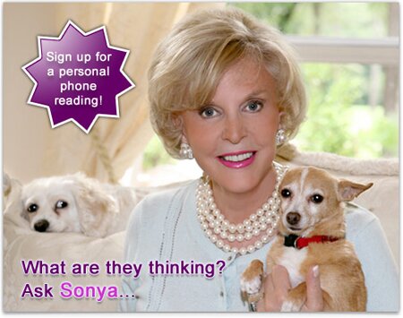 Sonya Fitzpatrick Pet Psychic