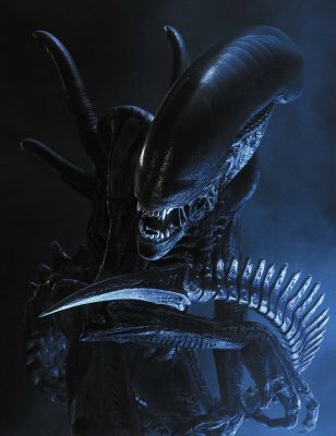 Xenomorph Alien